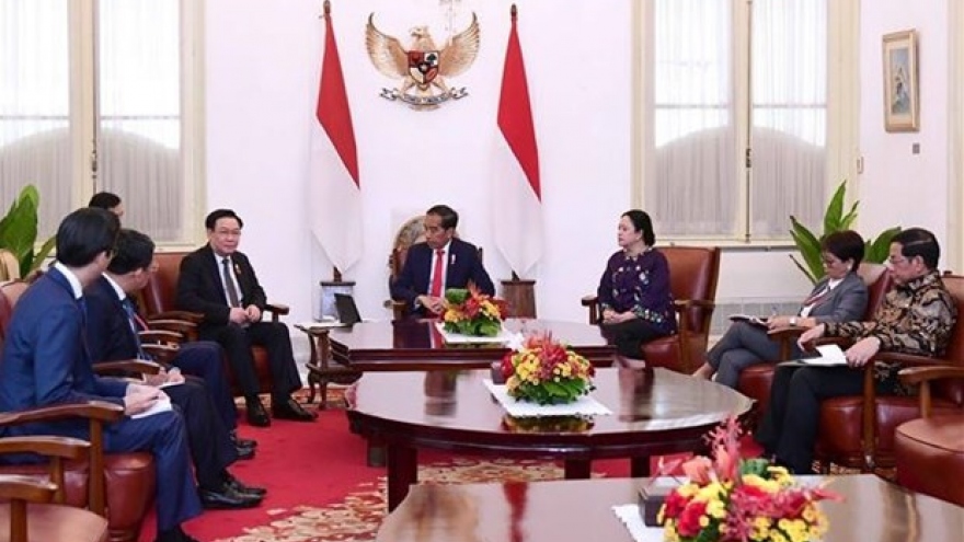 Top legislator wraps up official visits to Indonesia, Iran